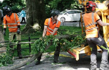 Central Park Hayvanat Bahçesi 'nin önündeki Sağanak Yağmurdan Düşen Ağaç. 29 Mayıs 2022, New York, ABD: Büyük bir ağacın bazı dalları, Central Park hayvanat bahçesinin önündeki şiddetli yağış nedeniyle devrildi