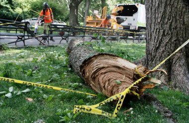 Central Park Hayvanat Bahçesi 'nin önündeki Sağanak Yağmurdan Düşen Ağaç. 29 Mayıs 2022, New York, ABD: Büyük bir ağacın bazı dalları, Central Park hayvanat bahçesinin önündeki şiddetli yağış nedeniyle devrildi