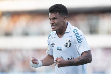 29 Mayıs 2022, Santos, Sao Paulo, Brezilya: Santos ve Palmeiras arasındaki futbol maçı, Sao Paulo sahilindeki Vila Belmiro Stadyumu 'nda düzenlenen Brezilya Futbol Şampiyonası' nın sekizinci turu için geçerlidir.