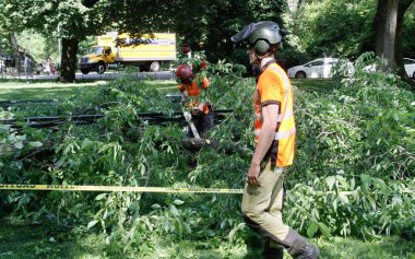 Central Park Hayvanat Bahçesi 'nin önündeki Sağanak Yağmurdan Düşen Ağaç. 29 Mayıs 2022, New York, ABD: Büyük bir ağacın bazı dalları, Central Park hayvanat bahçesinin önündeki şiddetli yağış nedeniyle devrildi