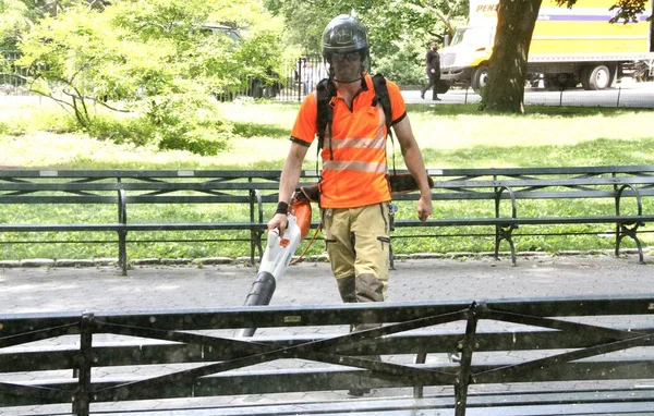 Central Park Hayvanat Bahçesi Nin Önündeki Sağanak Yağmurdan Düşen Ağaç — Stok fotoğraf