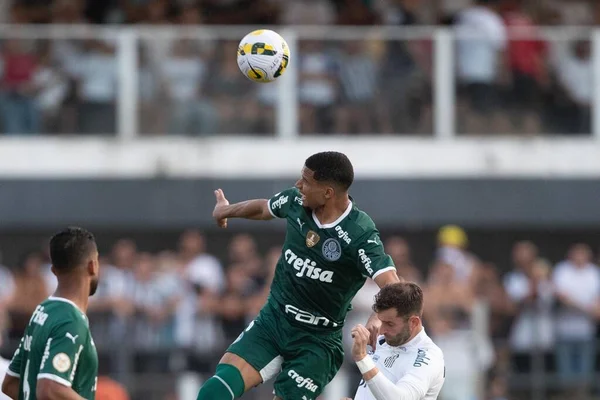 5月29 2022 サントス サンパウロ ブラジル サントスとパルメイラスの間のサッカー試合 ブラジルサッカー選手権の8回戦のために有効 ヴィラBelmiroスタジアムで開催 サントス サンパウロの海岸に — ストック写真