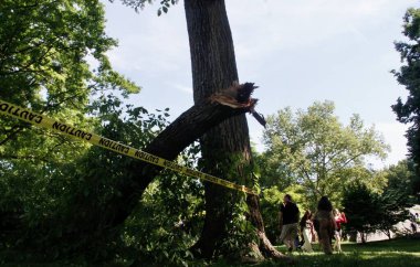 Central Park Hayvanat Bahçesi 'nin önündeki Sağanak Yağmurdan Düşen Ağaç. 29 Mayıs 2022, New York, ABD: Büyük bir ağacın bazı dalları, Central Park hayvanat bahçesinin önündeki şiddetli yağış nedeniyle devrildi