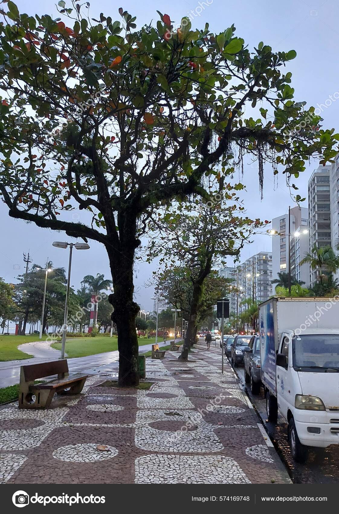 Weather Rainy Day Drop Temperature Santos May 2022 Santos Sao Stock