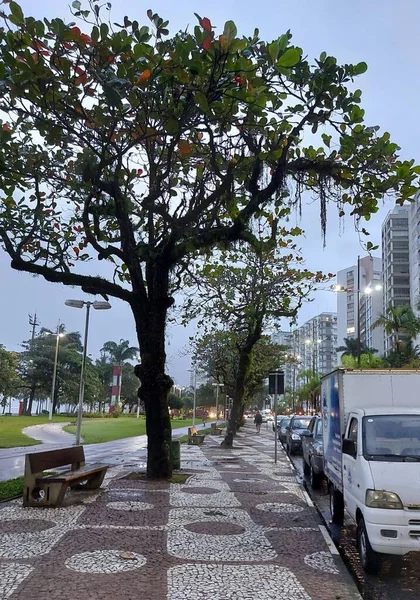 下雨天 桑托斯的气温下降 2022年5月31日 巴西圣保罗桑托斯 由于降雨和气温下降 圣保罗州南部海岸的桑托斯市的Embare海滩远离了海滩 — 图库照片