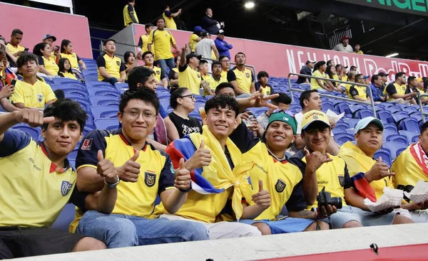 Ecuador Nigeria Soccer Friendly Red Bull Arena June 2022 New — Stock Photo, Image