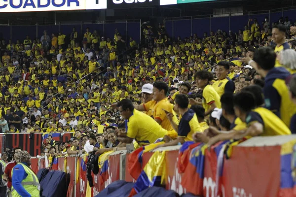 Ecuador Nigeria Partido Amistoso Red Bull Arena Junio 2022 Nueva — Foto de Stock