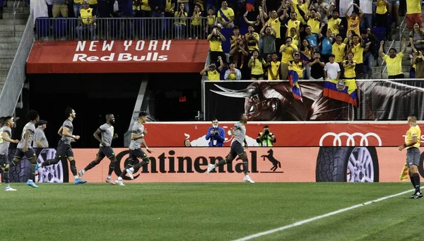 Ecuador Gegen Nigeria Einem Fußball Freundschaftsspiel Der Red Bull Arena — Stockfoto