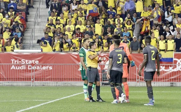 Ecuador Nigeria Una Amichevole Calcio Alla Red Bull Arena Giugno — Foto Stock