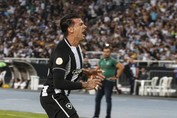 Brezilya Futbol Şampiyonası Botafogo Goias Karşı Haziran 2022 Rio Janeiro — Stok fotoğraf