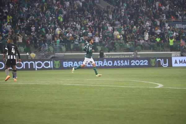 Mistrzostwa Brazylii Piłce Nożnej Palmeiras Botafogo Czerwca 2022 Sao Paulo — Zdjęcie stockowe