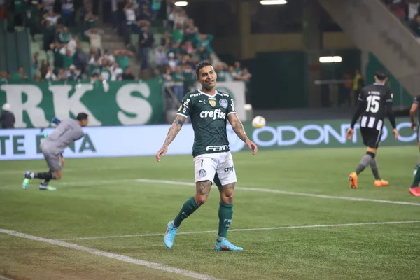 Campeonato Brasileiro Futebol Palmeiras Botafogo Junho 2022 São Paulo Brasil — Fotografia de Stock