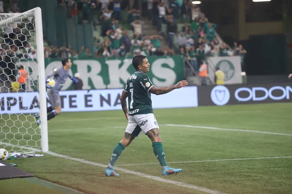 Campeonato Brasileiro Futebol Palmeiras Botafogo Junho 2022 São Paulo Brasil — Fotografia de Stock