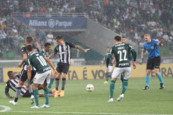 Brezilya Futbol Şampiyonası Palmeiras Botafogo Karşı Haziran 2022 Sao Paulo — Stok fotoğraf