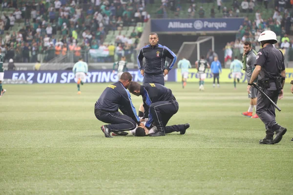 브라질 선수권 Palmeiras Botafogo 2022 파울로 브라질 Palmeiras Botafogo 파르크 — 스톡 사진