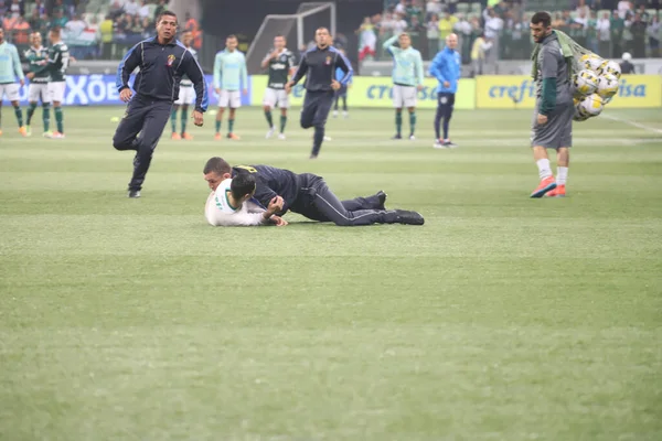 Brezilya Futbol Şampiyonası Palmeiras Botafogo Karşı Haziran 2022 Sao Paulo — Stok fotoğraf