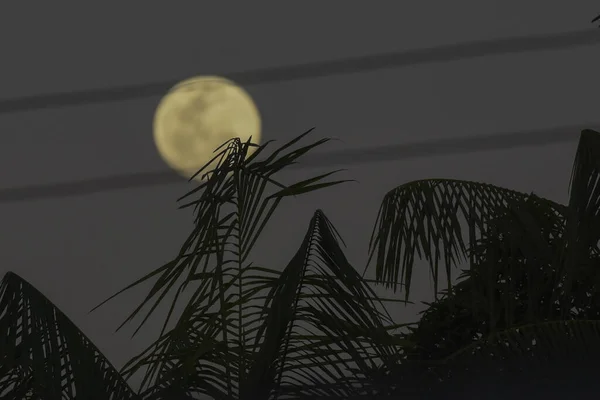 Місяць Півмісяця Можна Побачити Небі Форталезі Червня 2022 Року Форталеза — стокове фото