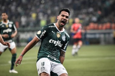 Brezilya Futbol Şampiyonası: Palmeiras Atletico-GO 'ya karşı. 16 Haziran 2022, Sao Paulo, Brezilya: Palmeiras ve Atletico-GO arasındaki futbol maçı, Brezilya Futbol Şampiyonası 'nın 12. turu için geçerli, Sao Paulo' daki Allianz Parque Stadyumu 'nda düzenlendi.