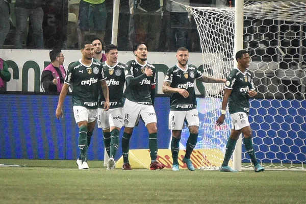 Campeonato Brasileiro Futebol Palmeiras Atletico Junho 2022 São Paulo Brasil — Fotografia de Stock