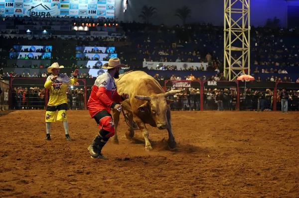 34ª Edición Del Partido Campesino Americano Sao Paulo Junio 2022 — Foto de Stock