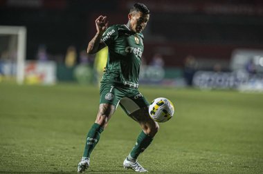Brezilya Futbol Şampiyonası: Sao Paulo ve Palmeiras. 20 Haziran 2022, Sao Paulo, Brezilya: Sao Paulo ve Palmeiras arasındaki futbol maçı, Brezilya Futbol Şampiyonası 'nın 13. turu için geçerli, Pazartesi günü Sao Paulo' daki Morumbi Stadyumu 'nda yapıldı.). 