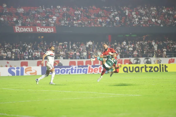 Campeonato Brasileño Fútbol Sao Paulo Palmeiras Junio 2022 Sao Paulo —  Fotos de Stock