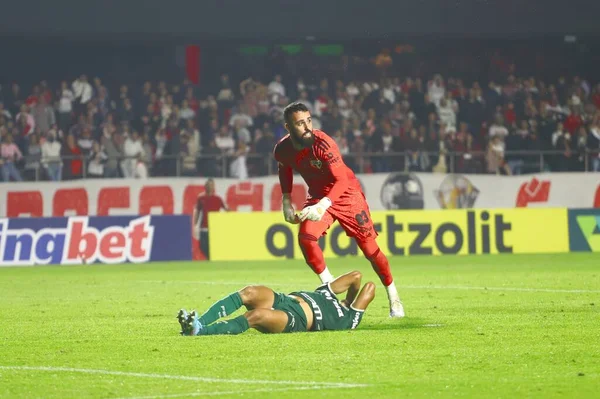 Campeonato Brasileiro Futebol São Paulo Palmeiras Junho 2022 São Paulo — Fotografia de Stock