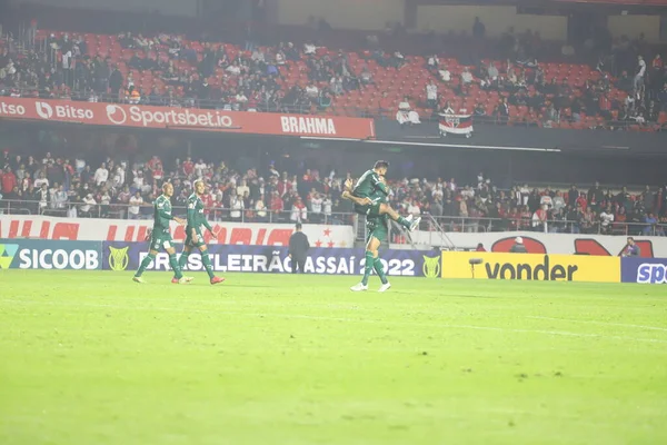 Brazilské Fotbalové Mistrovství Sao Paulo Palmeiras Června 2022 Sao Paulo — Stock fotografie