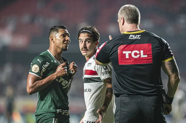 Campeonato Brasileiro Futebol São Paulo Palmeiras Junho 2022 São Paulo — Fotografia de Stock