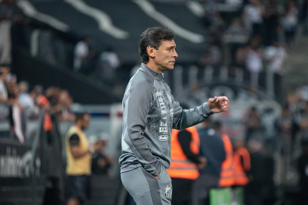 Copa Brasil Futebol Rodada Corinthians Santos Junho 2022 São Paulo — Fotografia de Stock