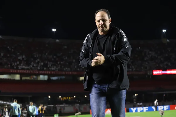 Copa Brasil Futebol Rodada São Paulo Palmeiras Junho 2022 São — Fotografia de Stock