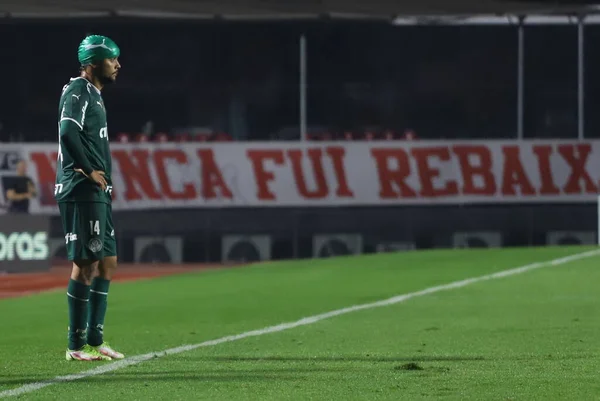 Brasilien Soccer Cup Omgång Sao Paulo Palmeiras Juni 2022 Sao — Stockfoto