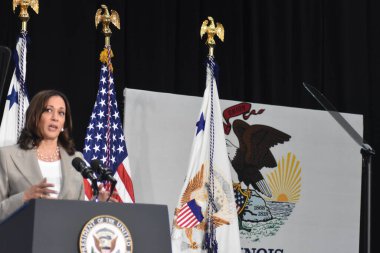 (Birleşik Devletler Başkan Yardımcısı Kamala Harris, Roe V. Wade 'in devrilmesi hakkında açıklama yapıyor. 26 Haziran 2022, Plainfield, IL, ABD
