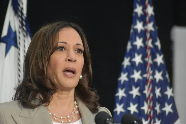 (Birleşik Devletler Başkan Yardımcısı Kamala Harris, Roe V. Wade 'in devrilmesi hakkında açıklama yapıyor. 26 Haziran 2022, Plainfield, IL, ABD