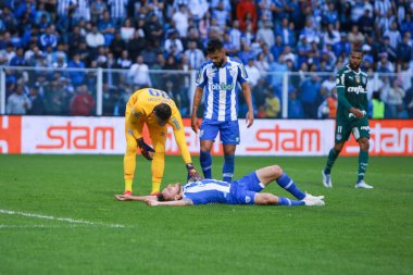 Brezilya Futbol Şampiyonası: Avai, Palmeiras 'a karşı. 26 Haziran 2022, Florianopolis, Santa Catarina, Brezilya: Brezilya 'nın Ressacada Stadyumu' nda düzenlenen Brezilya Futbol Şampiyonası 'nın 14. turu için geçerli olan Avai ve Palmeiras arasındaki futbol maçı