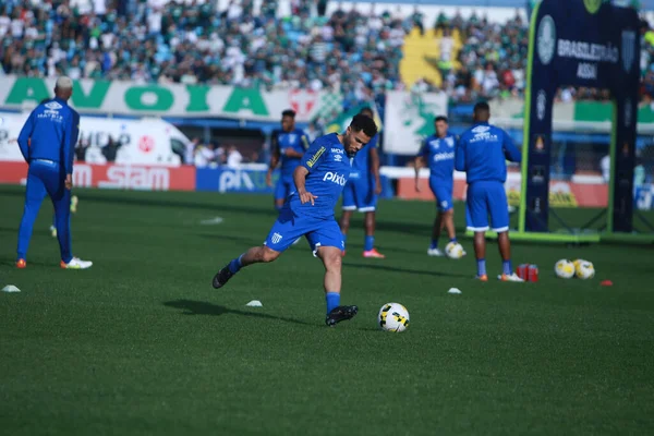 Campeonato Brasileiro Futebol Avai Palmeiras Junho 2022 Florianópolis Santa Catarina — Fotografia de Stock