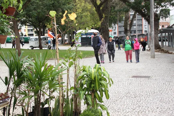 Wetter Warm Gekleidete Fußgänger Stehen Curitiba Vor Einem Kalten Tag — Stockfoto