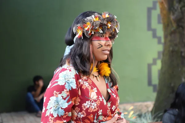 Inhuldiging Van Het Museum Van Inheemse Culturen São Paulo Juni — Stockfoto
