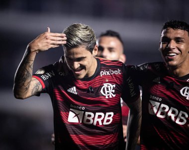 Brezilya Futbol Şampiyonası: Santos Flamengo 'ya karşı. 2 Temmuz 2022, Santos, Sao Paulo, Brezilya: Santos ve Flamengo arasındaki futbol maçı, Brezilya Futbol Şampiyonası 'nın 15. turu için geçerli, Santos' taki Vila Belmiro Stadyumu 'nda yapıldı.