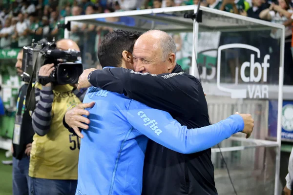 Brazilský Fotbalový Šampionát Palmeiras Athletico Paranense Července 2022 Sao Paulo — Stock fotografie