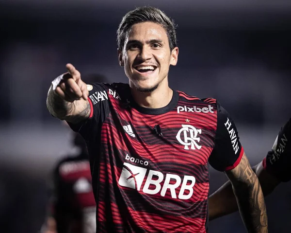 Brazilian Soccer Championship Santos Flamengo July 2022 Santos Sao Paulo — Stock Photo, Image