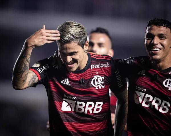 Brasilianische Fußballmeisterschaft Santos Gegen Flamengo Juli 2022 Santos Sao Paulo — Stockfoto