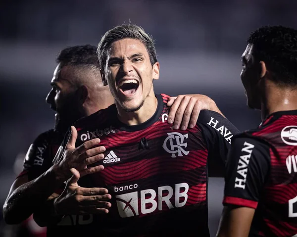 Brasilianische Fußballmeisterschaft Santos Gegen Flamengo Juli 2022 Santos Sao Paulo — Stockfoto