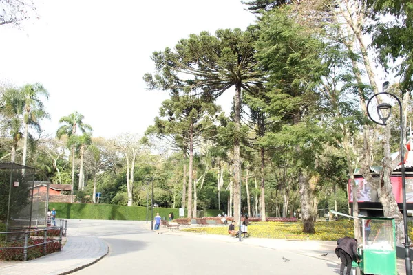 Dia Ensolarado Meio Inverno Curitiba Julho 2022 Curitiba Paraná Brasil — Fotografia de Stock