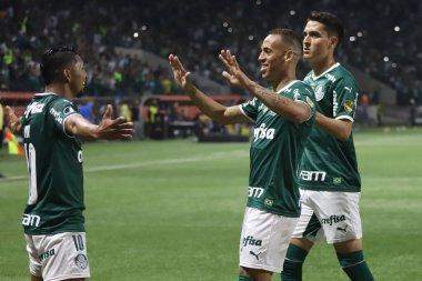 Libertadores Futbol Kupası - 16. Raunt: Palmeiras - Cerro Porteo. 6 Temmuz 2022, Sao Paulo, Brezilya: Palmeiras ve Cerro Porteo (Paraguay) arasındaki futbol maçı, Libertadores Futbol Kupası 'nın 16.