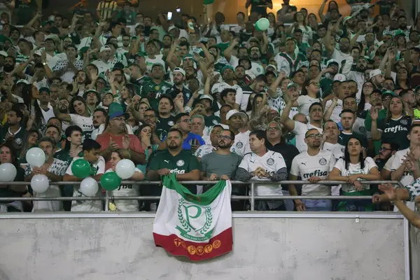 自由球员足球杯 第16轮 帕尔梅拉斯对波尔图罗 2022年7月6日 巴西圣保罗 Palmeiras和Cerro Porteo 巴拉圭 之间的足球比赛 有效期为16轮自由球员足球杯的第二回合 — 图库照片
