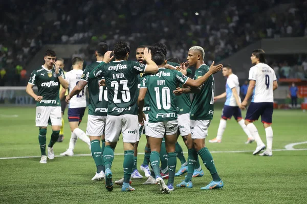 Libertadores Soccer Cup Achtelfinale Palmeiras Cerro Porteo Juli 2022 Sao — Stockfoto