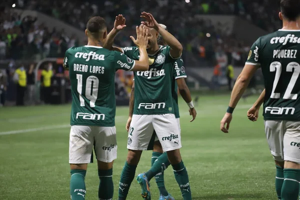 Libertadores Soccer Cup Palmeiras Cerro Porteo July 2022 Sao Paulo — Stockfoto