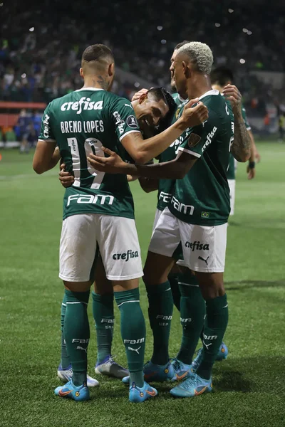Libertadores Soccer Cup Achtelfinale Palmeiras Cerro Porteo Juli 2022 Sao — Stockfoto