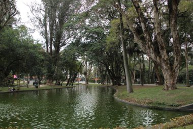 Curitiba 'nın en eskisi olan Passeio Publico' da görüş ve hareket. 8 Temmuz 2022, Curitiba, Parana, Brezilya: Curitiba 'nın en eski parkı Passeio Publico' da 8 Temmuz Cuma günü güneşli bir günde.
